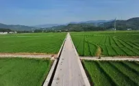2027年，第三轮土地承包到底如何分配？国务院给出了明确答复！