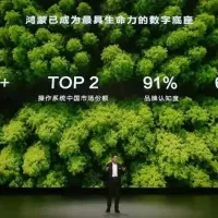 华为正式发布鸿蒙5.0后，一个奇怪的现象还是出现了