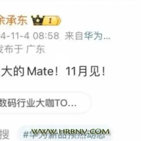 华为Mate70系列正式发布：性能、设计与创新功能的完美融合