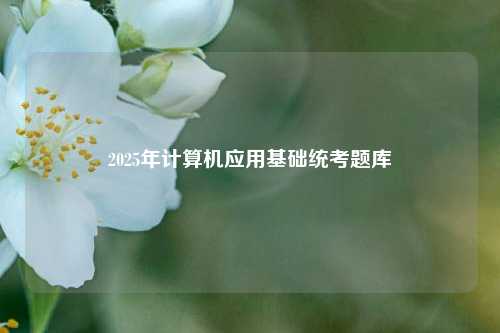 2025年计算机应用基础统考题库