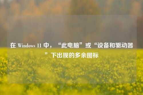 在 Windows 11 中，“此电脑”或“设备和驱动器”下出现的多余图标