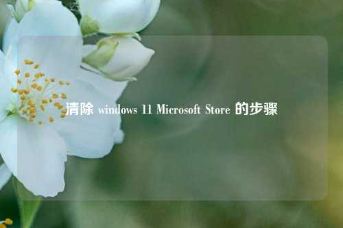 清除 windows 11 Microsoft Store 的步骤